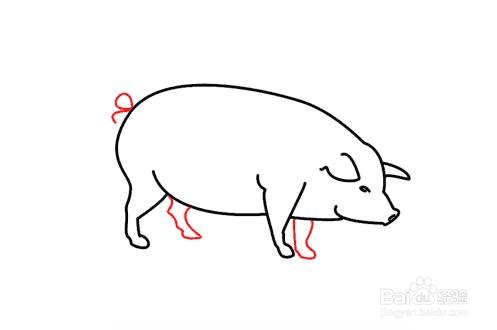 猪屁股卡通简笔画图片