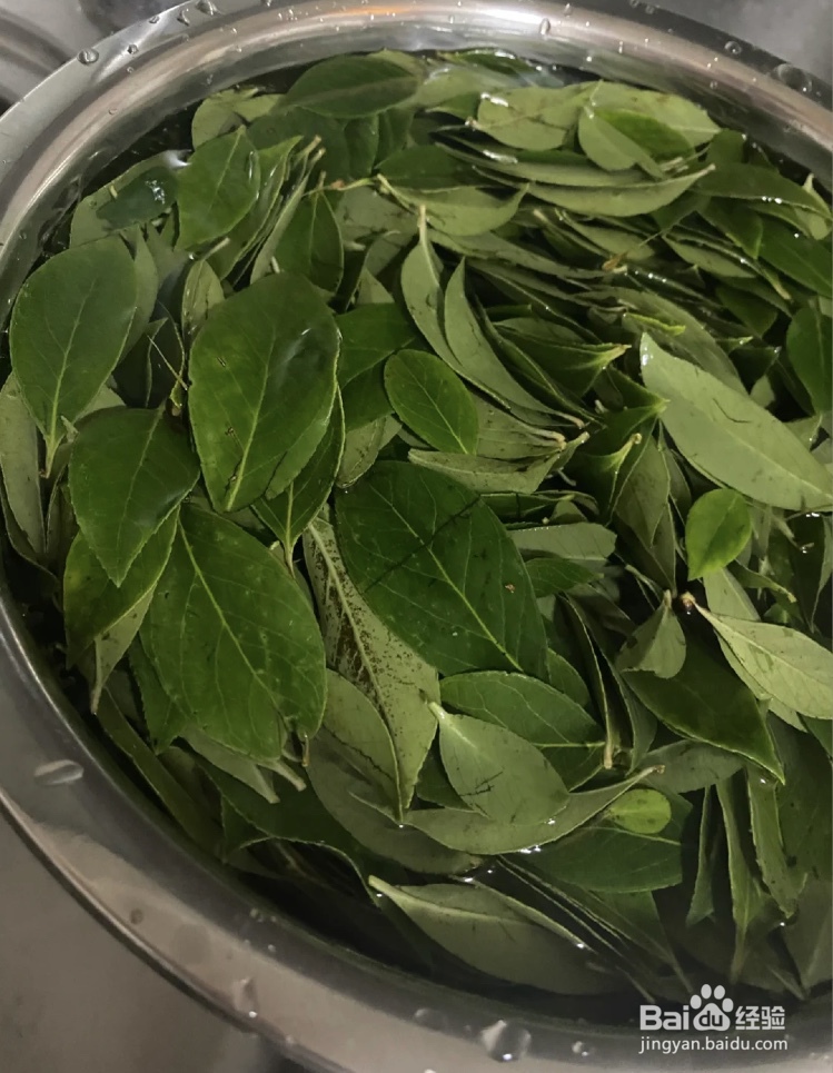 乌饭叶怎么长期保存