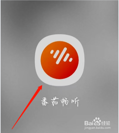 番茄畅听如何查看下载记录