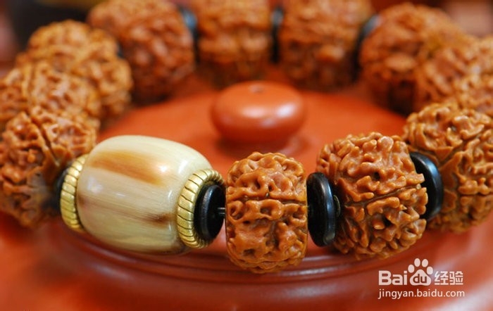 最完整的金刚菩提子价格参照