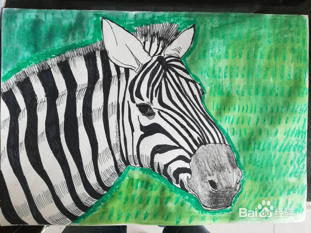 怎么画斑马的线描创意画
