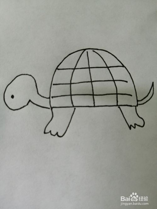 伸头的小乌龟怎么画