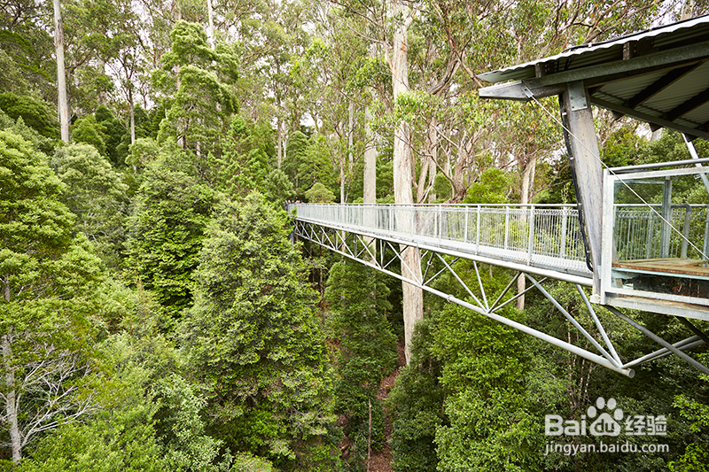 游记:公主邮轮畅游澳新,观世界、享生活