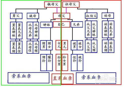 近姻親關係圖解