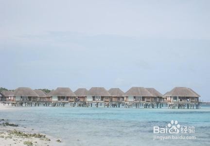 怎么度过大学四年