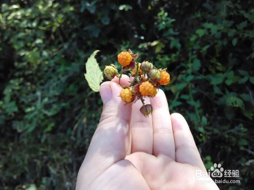 怎样过一个好玩的假期?