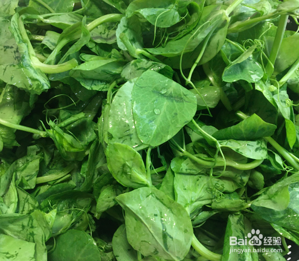 蒜蓉炒豌豆苗的做法