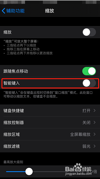 苹果手机怎么设置缩放智能键入功能