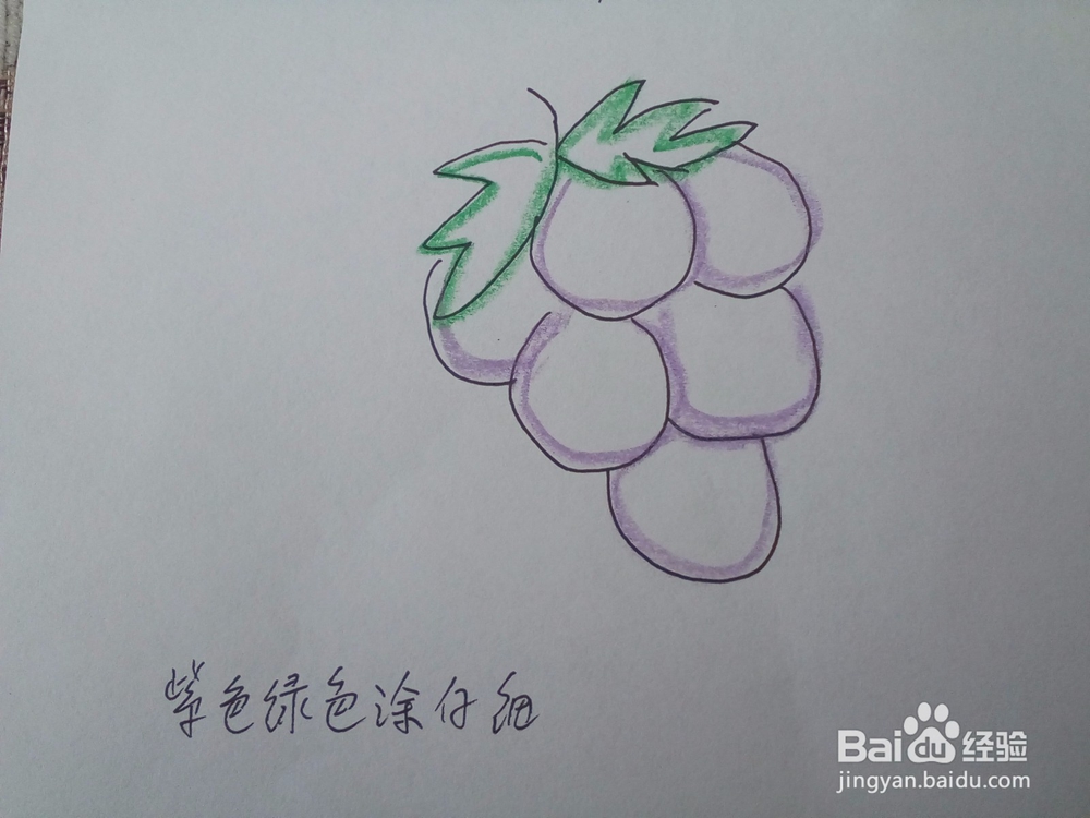 吃上一口甜如蜜的大葡萄 15