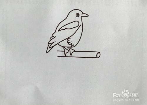 如何画长尾巴喜鹊简笔画