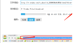 优酷客户端视频下载URL检测失败怎么办