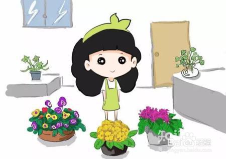 好看好养几乎不死，新年就养这些花！