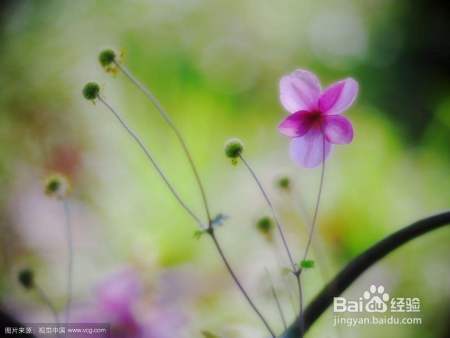 女儿高三了，总是不自信，我该如何帮她建立自信？