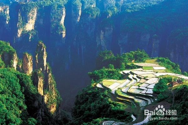 十一国庆黄金周张家界旅游攻略