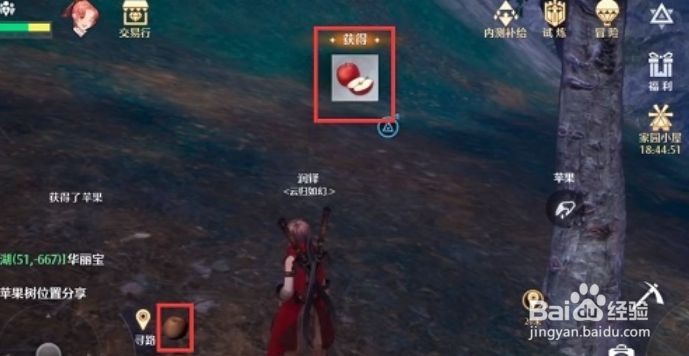 《诺亚之心》苹果在哪采集