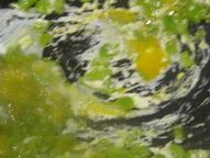 青椒炒鸡蛋的做法