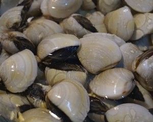 怎么做冬瓜花甲汤的攻略 步骤 百度经验 怎么做冬瓜花甲汤的攻略 步骤 百度经验