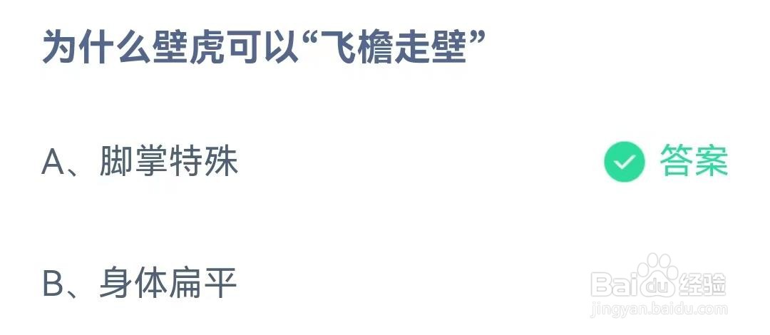 为什么壁虎可以“飞檐走壁”