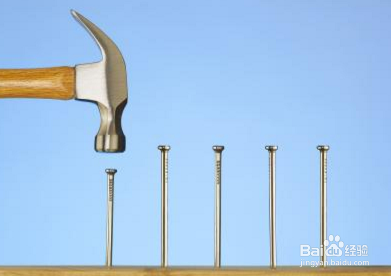 如何掌握程序语言