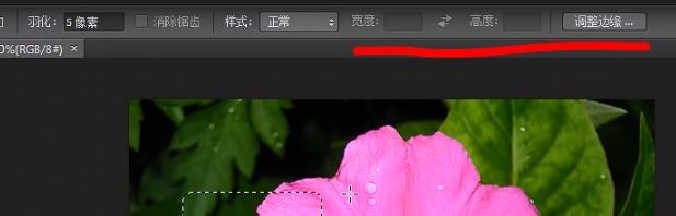 如何使用photoshop选区工具中的矩形选区工具