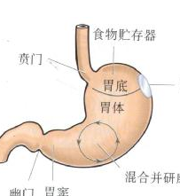 女性经期调理暖身驱寒食谱：[3]暖身驱寒
