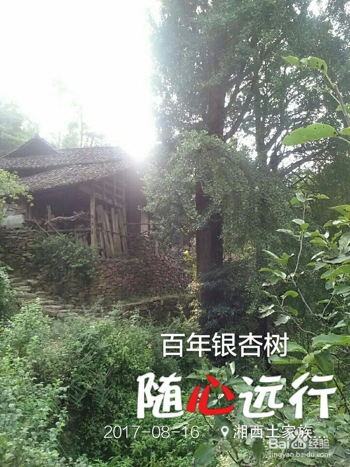 山羊洞美女帅哥心中的家