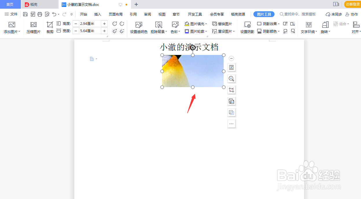Word文档怎么把图片和文字设置成上下型环绕
