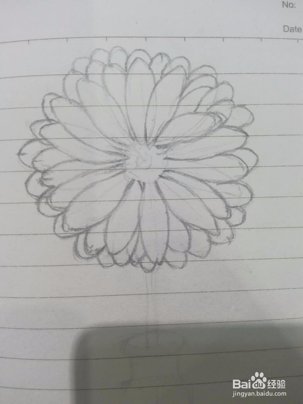 《菊花小景》手绘过程