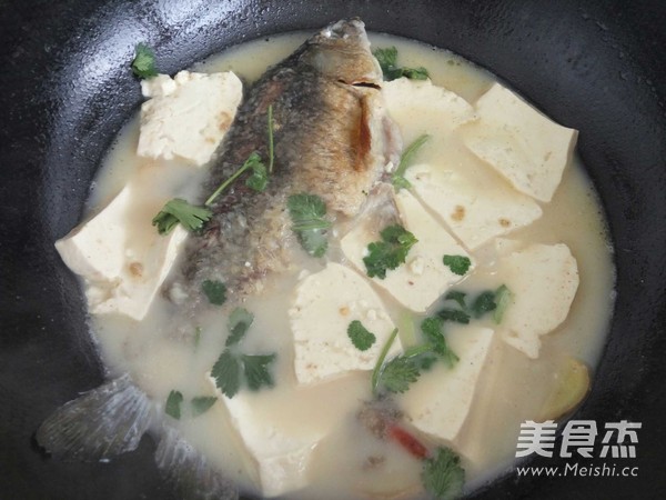 鲫鱼浓汤的做法