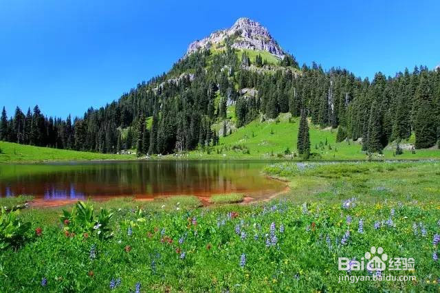 美国租车去哪玩?美国租车最强景点攻略!