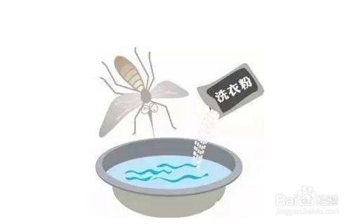夏季天然驱蚊绝招