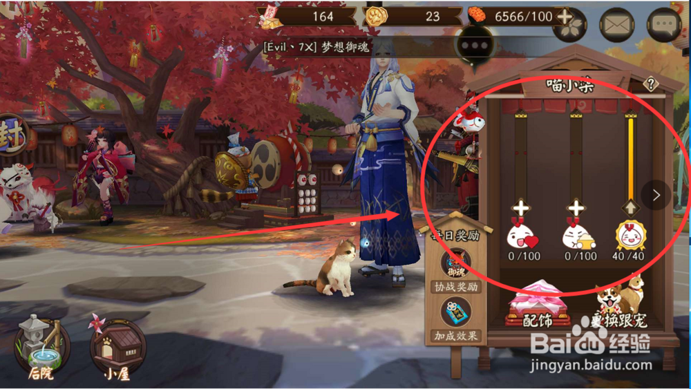 阴阳师怎么给收养的小宠物喂食