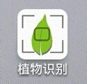 如何根据图片照片识别植物名称?