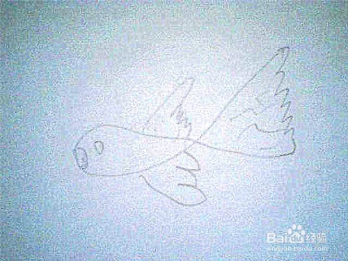 简笔画 鱼的画法: