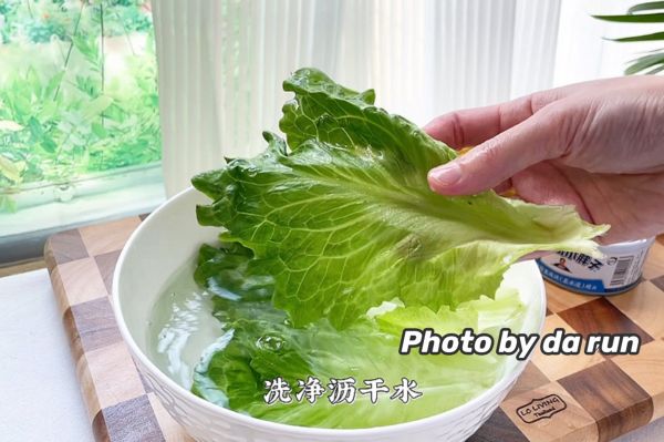 金枪鱼生菜手卷