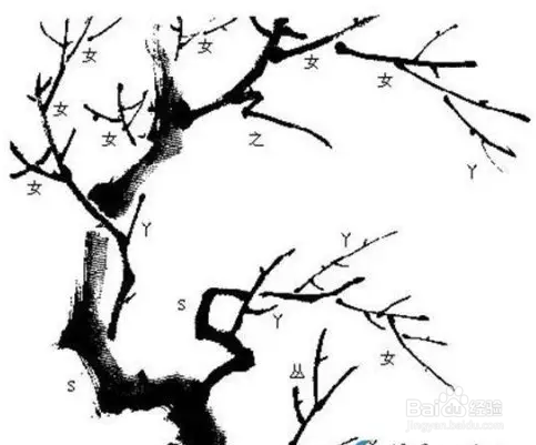 国画梅花的画法攻略