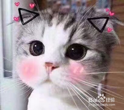 在PS中如何改变画布大小?