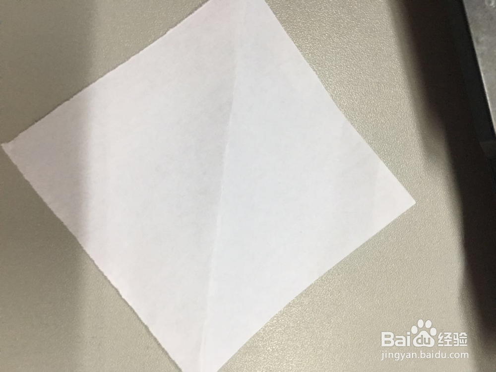 小萌物－－兔兔