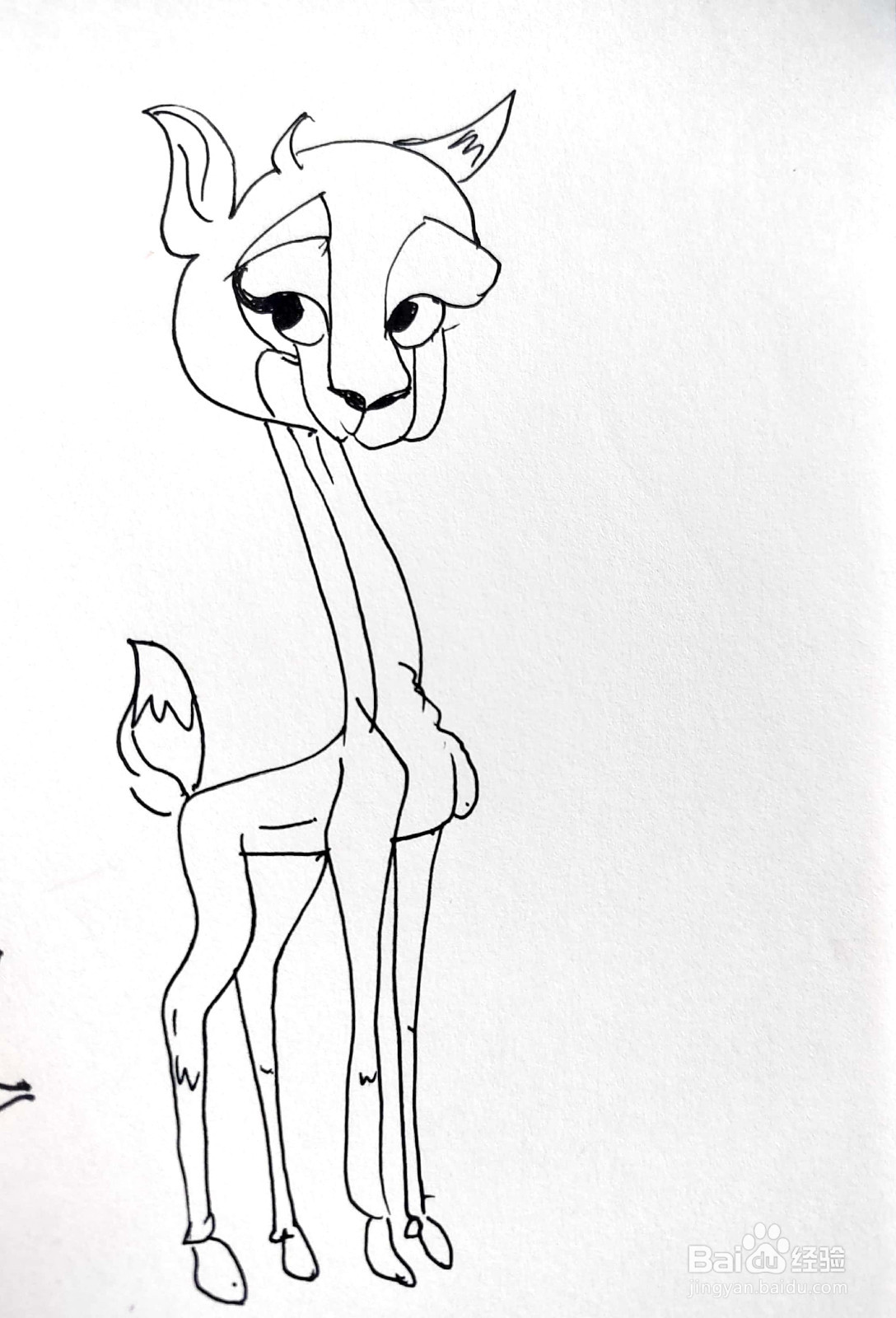 麋鹿线描画怎么画