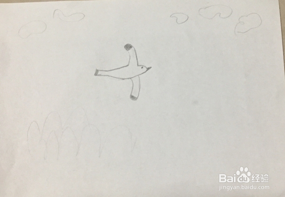 小鸟的画法简笔画