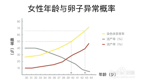 卵泡和卵子的那些事,备孕的你需要知道!