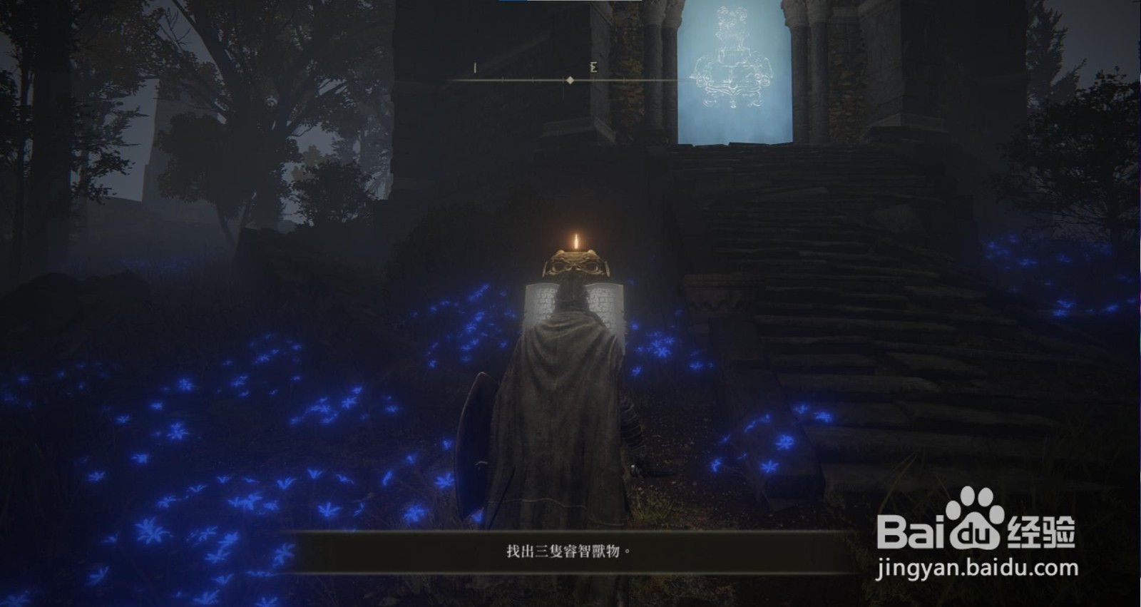 艾尔登法环提斯魔法师塔怎么进？