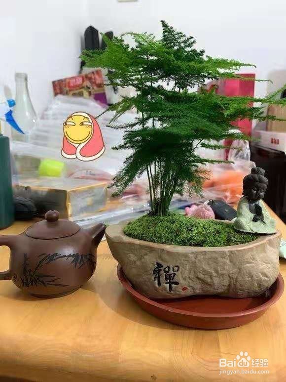 3种花，卧室客厅养1盆，甲醛少了，睡觉也香了！