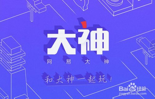 网易大神怎么扫码 百度经验