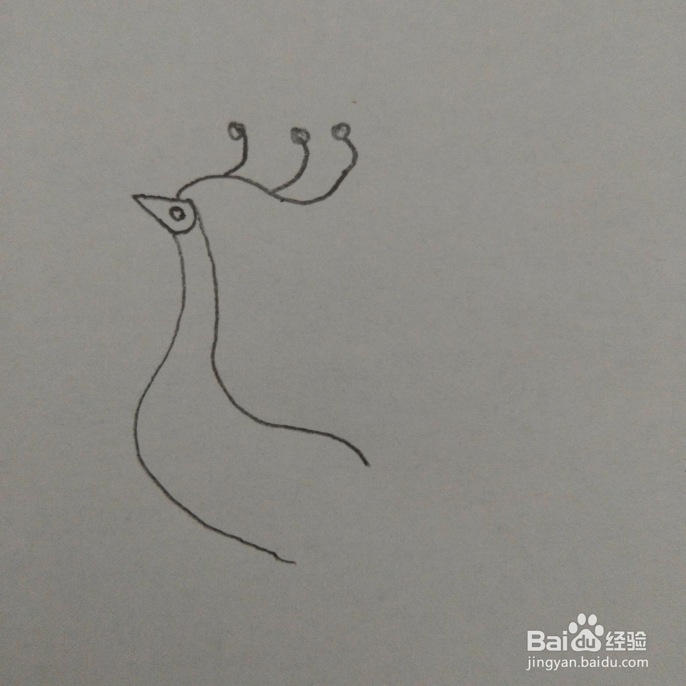 儿童趣味简笔画孔雀的画法