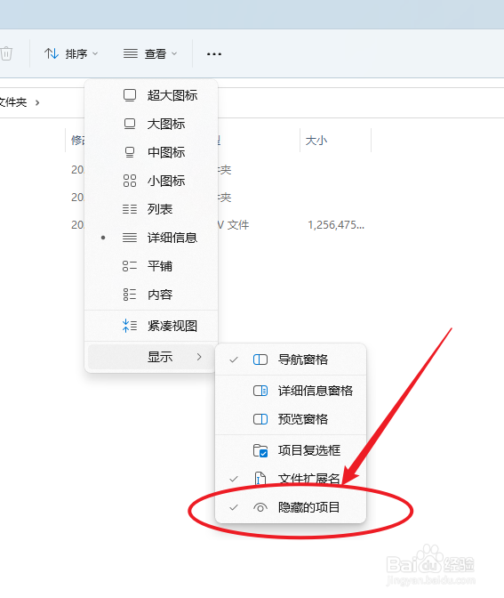 电脑文件夹内的隐藏项目如何显示出来