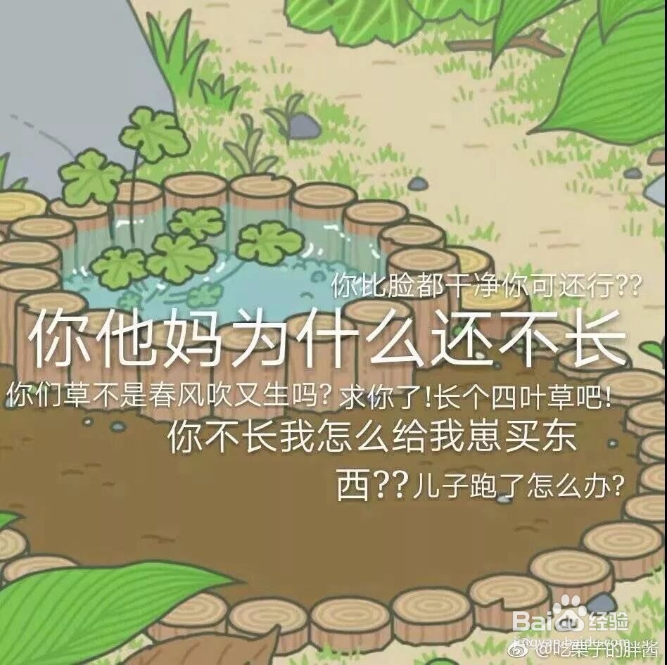 旅行青蛙详情攻略