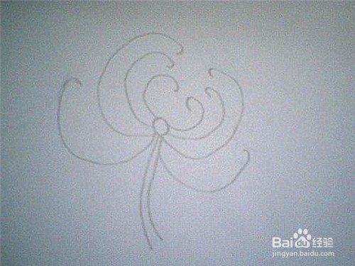 简笔画菊花可以这样画