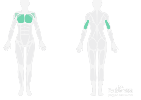 俯卧撑入门锻炼