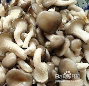 美食——清炒素三鲜